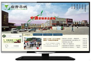 松江企業(yè)數(shù)字化轉(zhuǎn)型 一站式網(wǎng)站建設(shè)、維護(hù)與托管解決方案