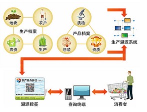 智慧農(nóng)業(yè)新篇章 蔬菜種子二維碼溯源與支付結算一體化系統(tǒng)